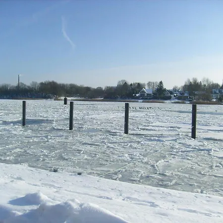 Fiebelkorn Vogt In *